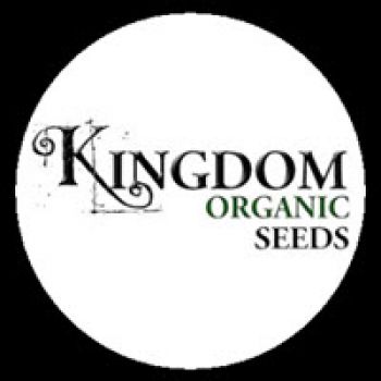 Kingdom Organics Seeds Cannabis Breeder